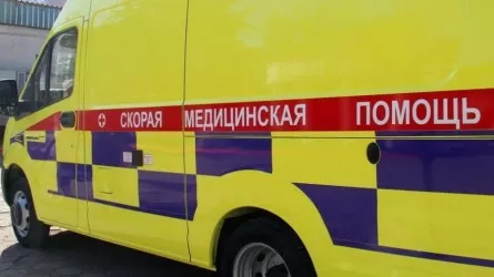 Более 33 тыс. вызовов поступило в службу скорой помощи Казахстана 1 января