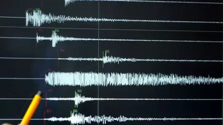 Второе за день землетрясение зафиксировали сейсмологи Алматы