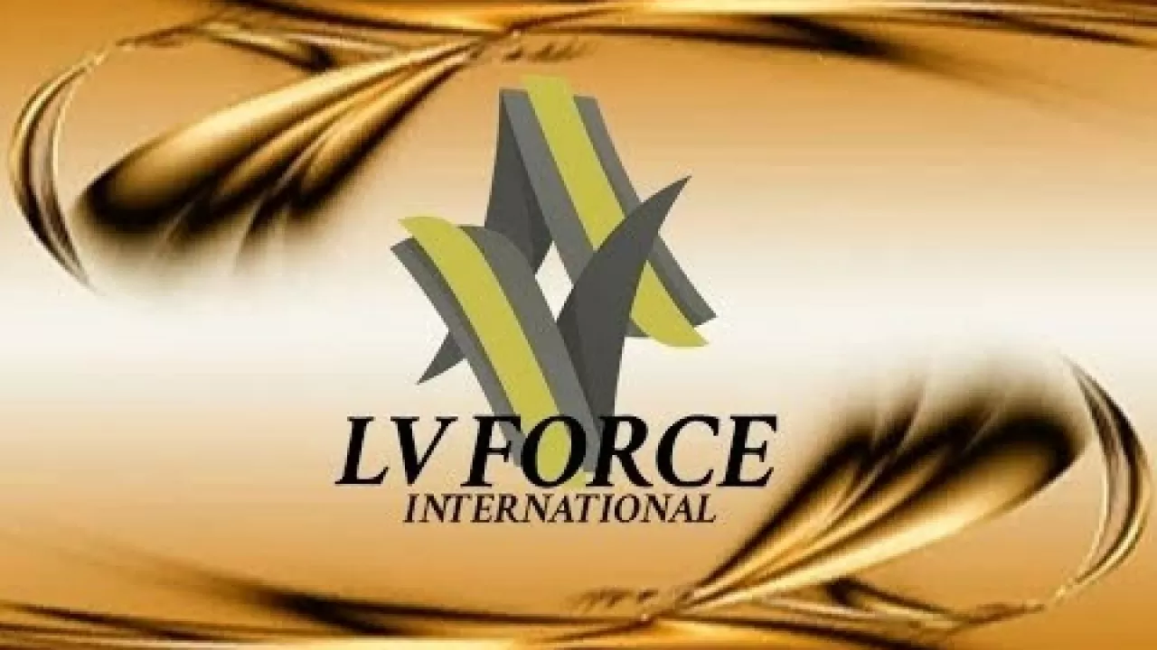 К 5 годам приговорили организатора финпирамиды LV FORCE