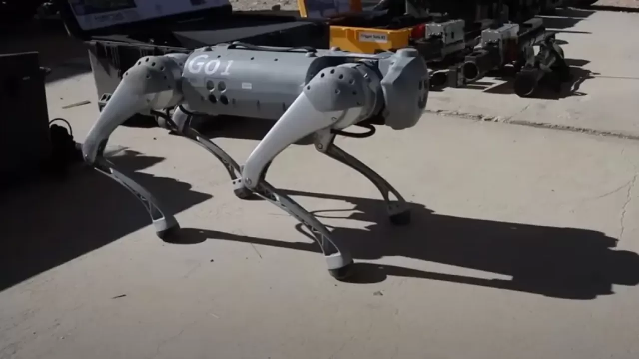 В армии США начнут служить собаки-роботы