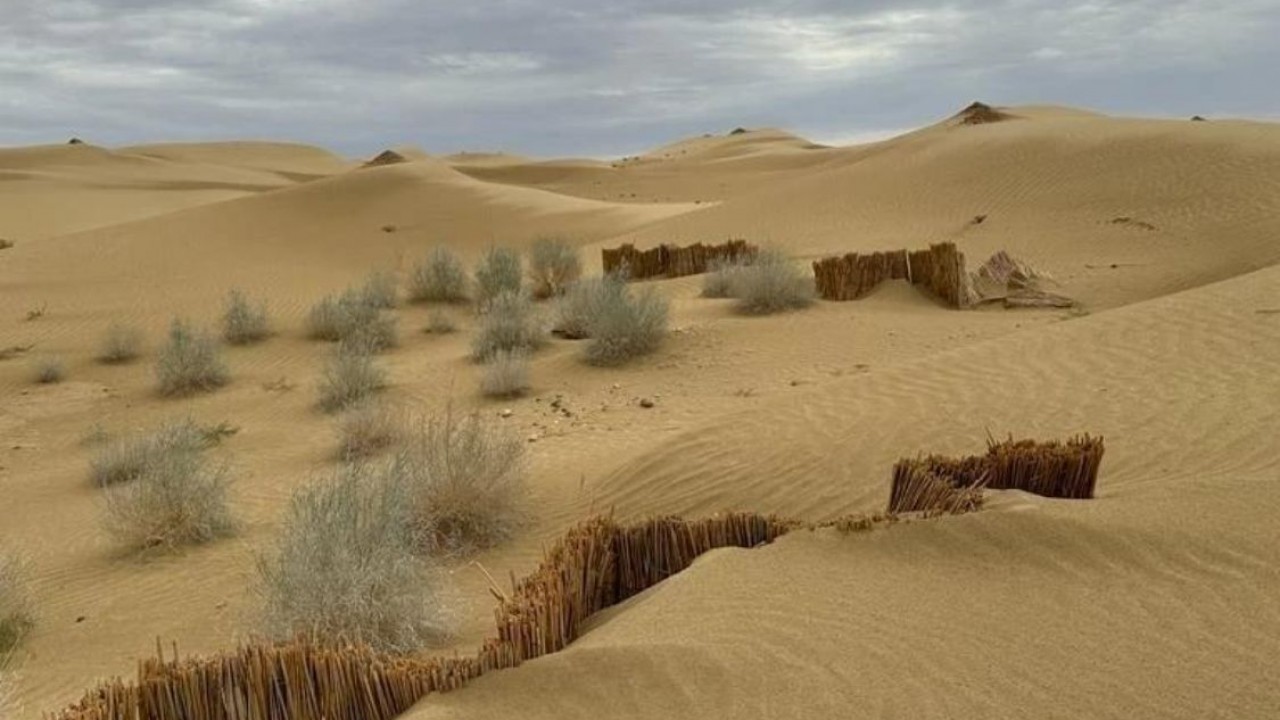 Турист қонақүй бөлмесінде өзінің құтқарушысына минетпен алғыс айтты. Кемпірдің юбкасының астында не бар?