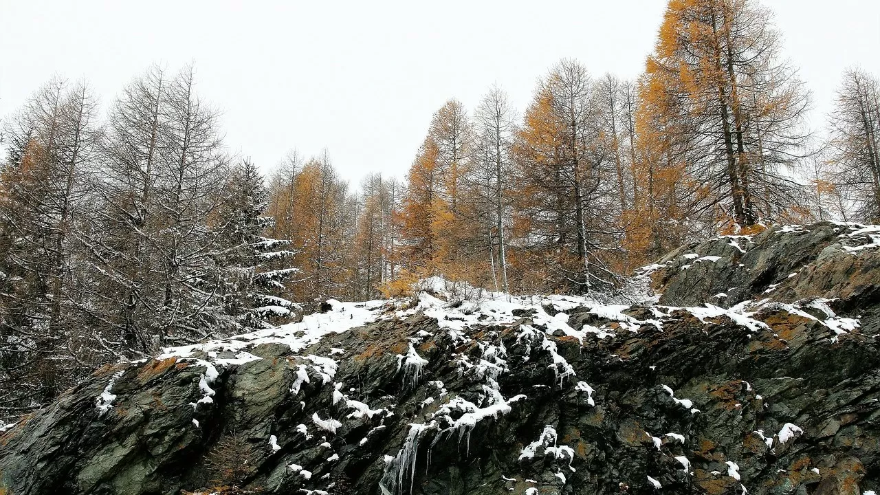 Заморозки и мокрый снег обещают синоптики в Казахстане