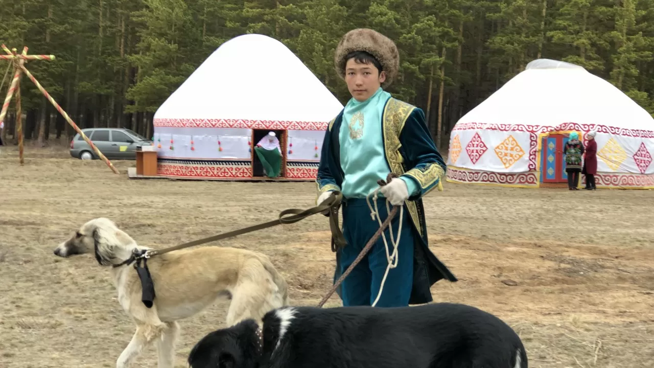 Қазақы ит тұқымдарын сақтау және өсімін молайту жөніндегі ұйым айқындалды