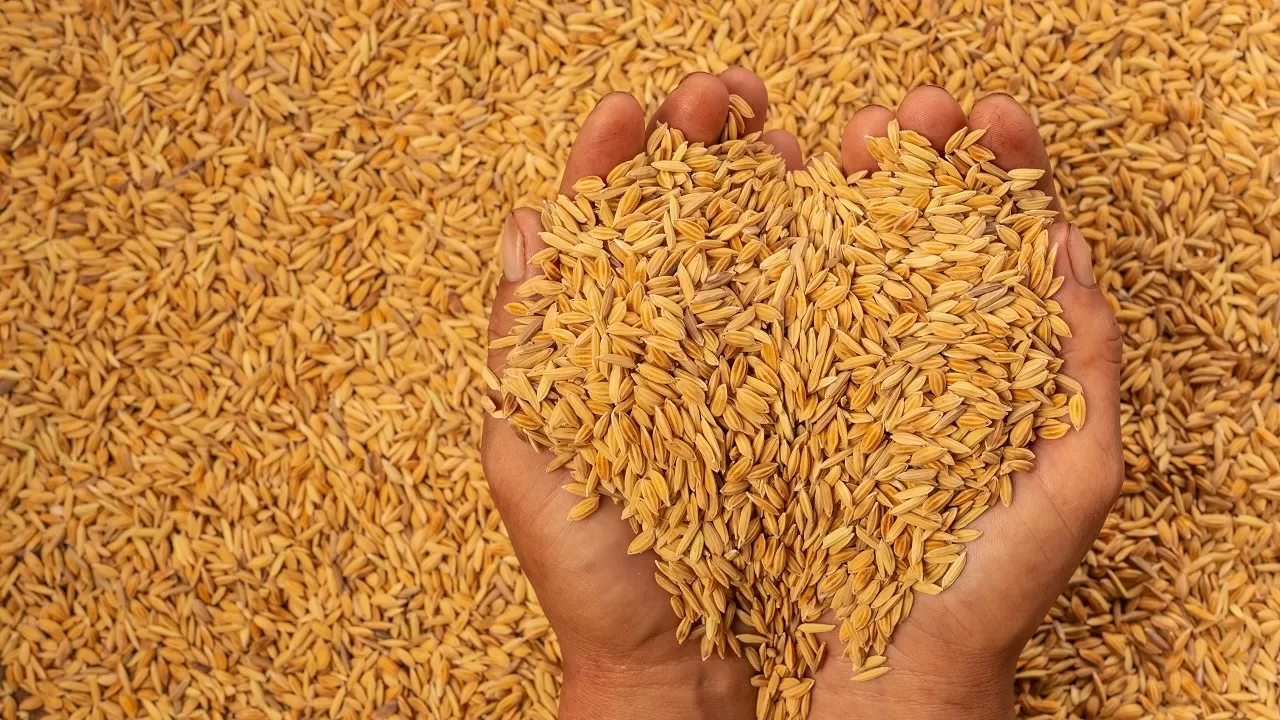 Цены на муку: началась отгрузка удешевленного зерна в регионы Казахстана