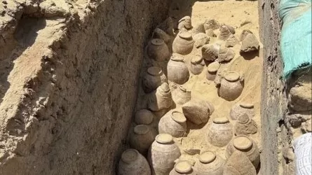 Археологи нашли вино, которому 5000 лет  