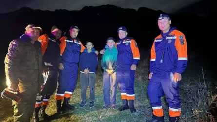 В горах Туркестанской области спасли двоих детей