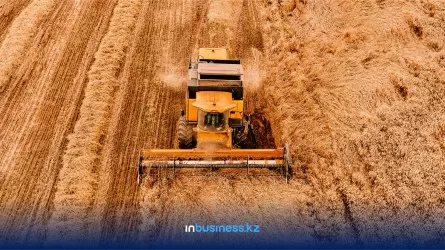 Более 86% зерновых в Казахстане успели убрать