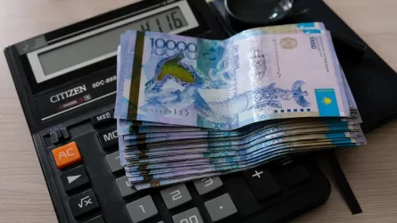  9,2 трлн тенге должны казахстанцы банкам: правительство озадачено – что делать? 