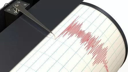 Землетрясение магнитудой 4,9 случилось в 176 км от Алматы