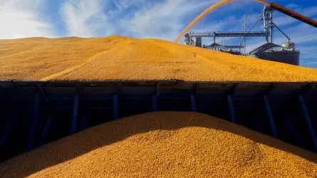В Турции заявили об отсутствии ощутимого прогресса в возобновлении зерновой сделки