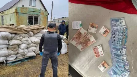 Более 15 тонн рачка artemia salina изъяли сотрудники полиции и ДКНБ в СКО