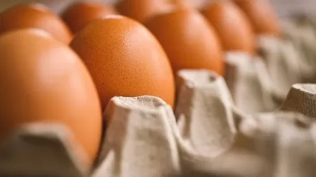 Импорт яиц в Казахстан вырос на 66,3% 