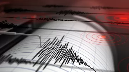 Сейсмологи зафиксировали землетрясение в 580 км от Алматы