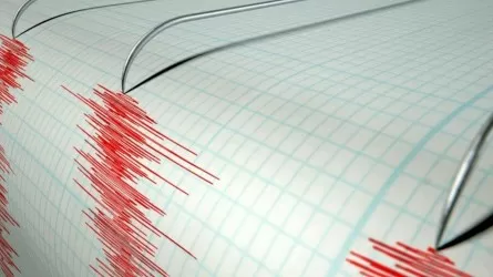 Алматинские сейсмологи сообщили о новом землетрясении
