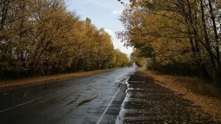 Метели и сильные дожди обещают синоптики в Казахстане