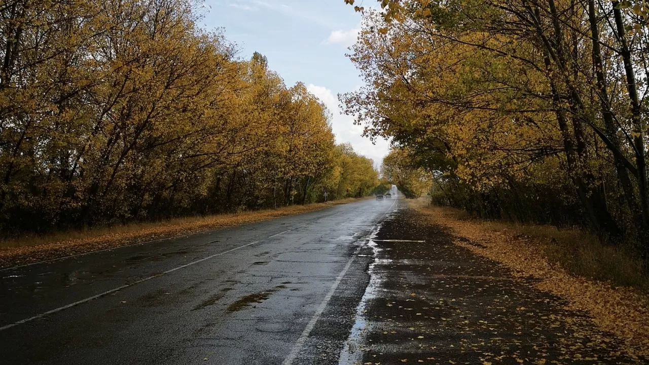 Метели и сильные дожди обещают синоптики в Казахстане