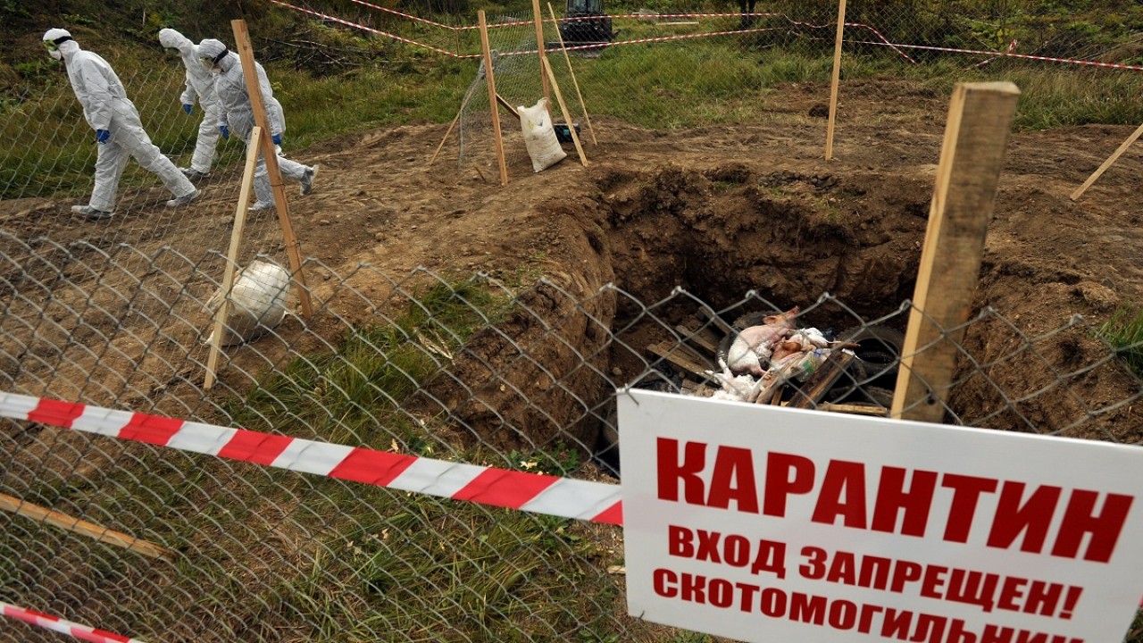 Захоронения падших от сибирской язвы животных обнаружили вблизи жилых домов  в ВКО | Inbusiness.kz