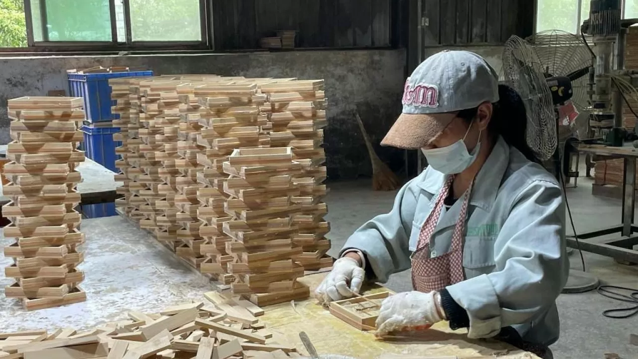 Қытай пластикті бамбукпен алмастыру процесін жеделдетеді