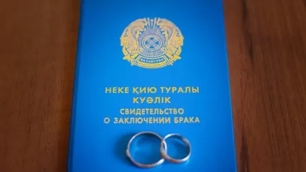 Финансовая стабильность и семейные узы: как деньги влияют на брак и развод в Казахстане  