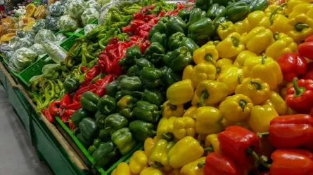 Жители каких регионов РК больше всего покупают овощи?