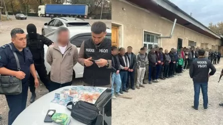 "Хорошо въехали": 30 нелегальных мигрантов из Узбекистана выявили в Туркестанской области 
