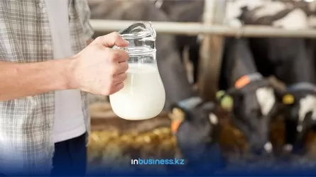 На 20% за год подорожало в РК питьевое молоко