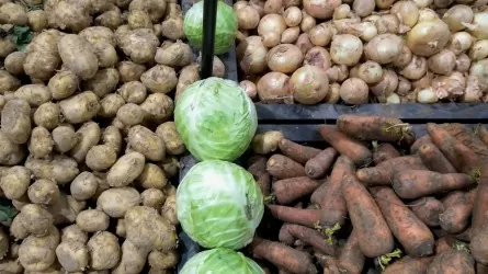 СПК Казахстана запасли на межсезонье почти 182 тыс. тонн овощей