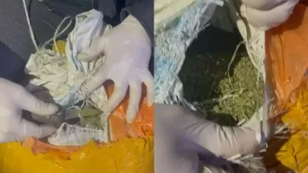 Наркосбытчик хранил 20 кг марихуаны у себя дома в Алматинской области  