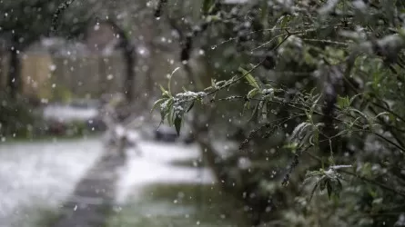 Снегопады и дожди обрушатся на Казахстан