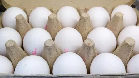 В Атырау снизилось производство яиц 