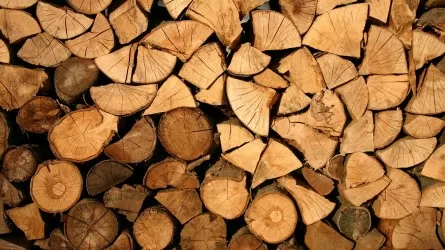 Вывоз отдельных видов лесоматериалов из Казахстана запретили еще на полгода 