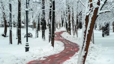 Какая зима прогнозируется в Казахстане?