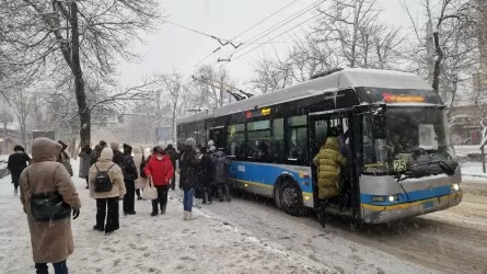 Алматы автопарктерінде түнгі кезекшілік ұйымдастырылды 