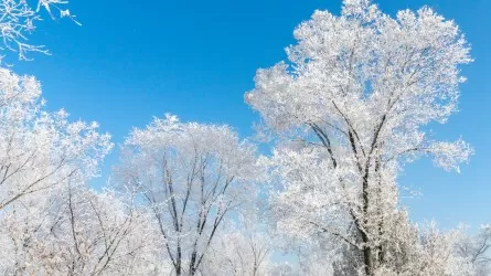 В Казахстан идет настоящая зима: прогноз на 2-4 декабря