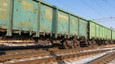Семь лошадей сбил грузовой поезд в Акмолинской области