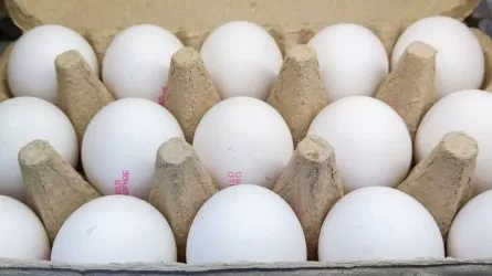 Насколько опасен для Казахстана российский ажиотаж вокруг яиц?