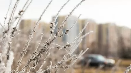 Метель, усиление ветра и снегопады обещают синоптики в Казахстане