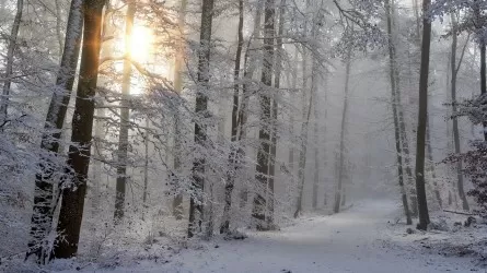 Где в Казахстане пройдет сильный снег?