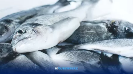 США ввели запрет на импорт из РФ лосося, трески, минтая и краба