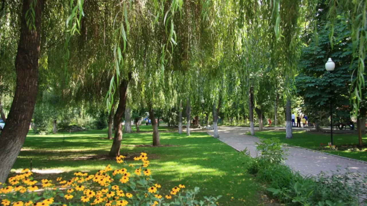 В Алматы появится новый парк
