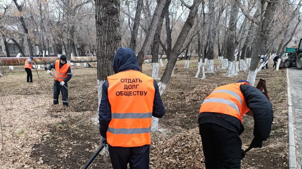 Сколько стоит жизнь бездомного кота в Казахстане?