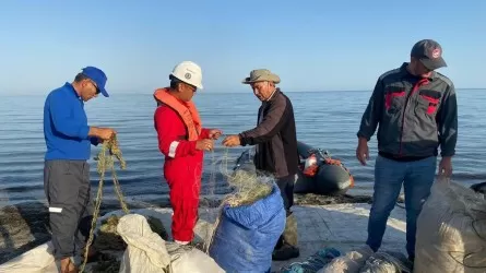 Каспий теңізінде ихтиологиялық бақылау жұмыстары жалғасады
