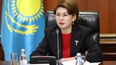 Аида Балаева призвала правильно распределять средства на проекты по семейной и гендерной политике