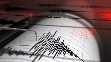 Два землетрясения зарегистрировали 7 февраля сейсмологи Алматы