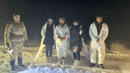 4 иностранца в маскхалатах пойманы на границе с РФ