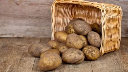 В Казахстане увеличилось производство картофеля