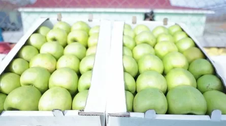 Министр нацэкономики пообещал помочь в расширении яблоневой рощи