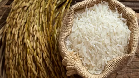 АЗРК проводит расследование по фактам роста цен на рис