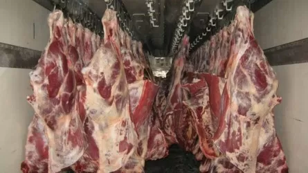 Мясо Шредингера: павлодарец обманул таразцев на несуществующем мясе на 200 млн тенге