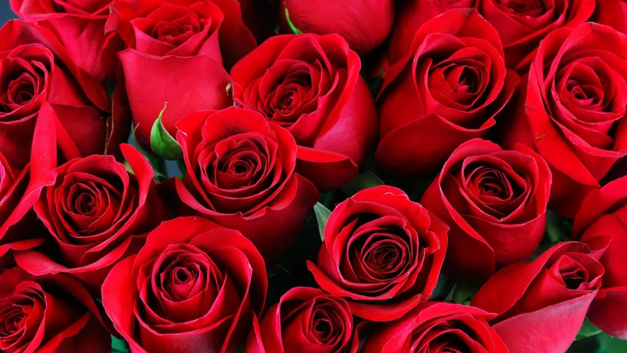 Миллион на розы: cколько казахстанцы тратят на цветы?